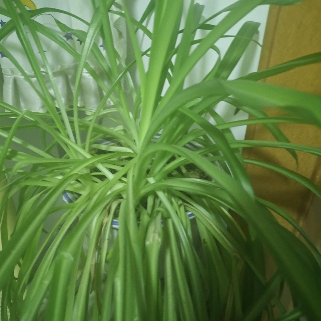 缘分相识