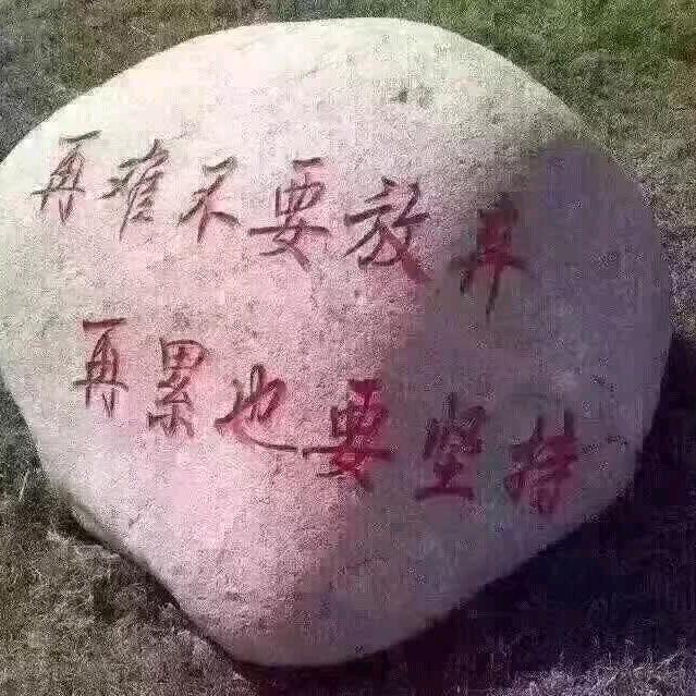 大 飞