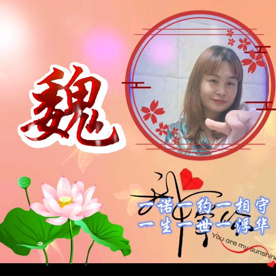 枫林花卉，新化陈家陇桥往冷水江方向