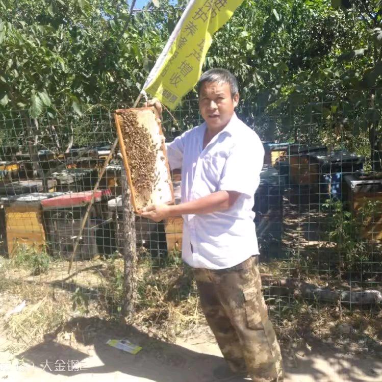 山东省平邑县、蒙山、陈老四蜜蜂园
