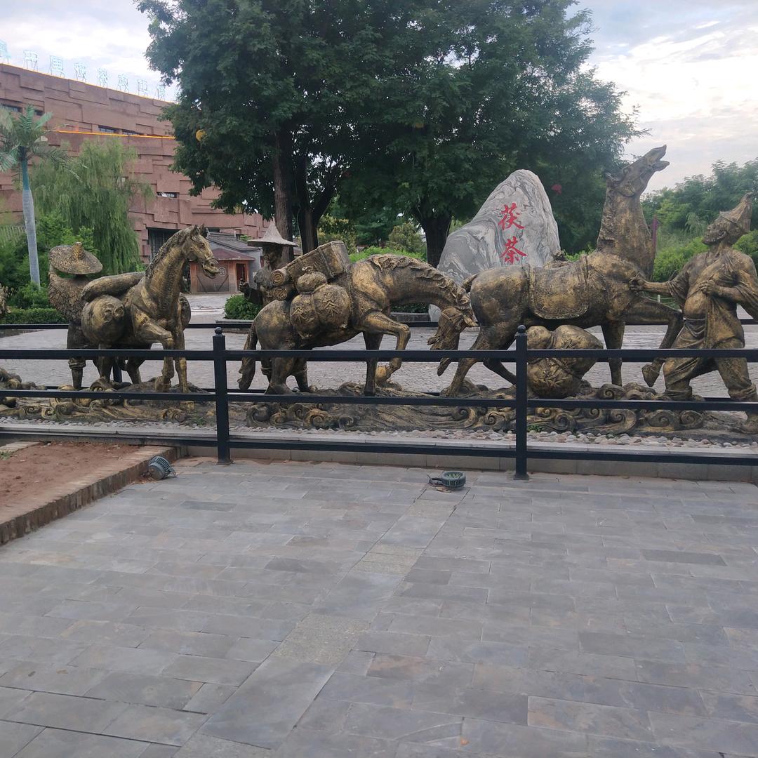 北派小建学员 曹龙龙