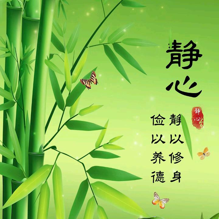 听风念旧人