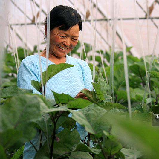 小黑婶推荐官