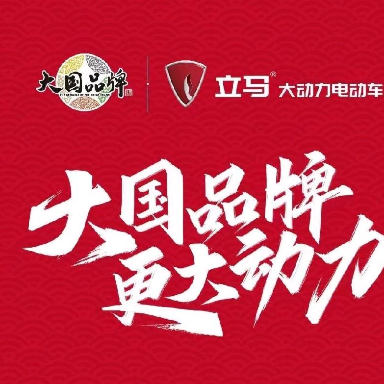 《我是霍邱县立马电动车总代理》龚道全👨