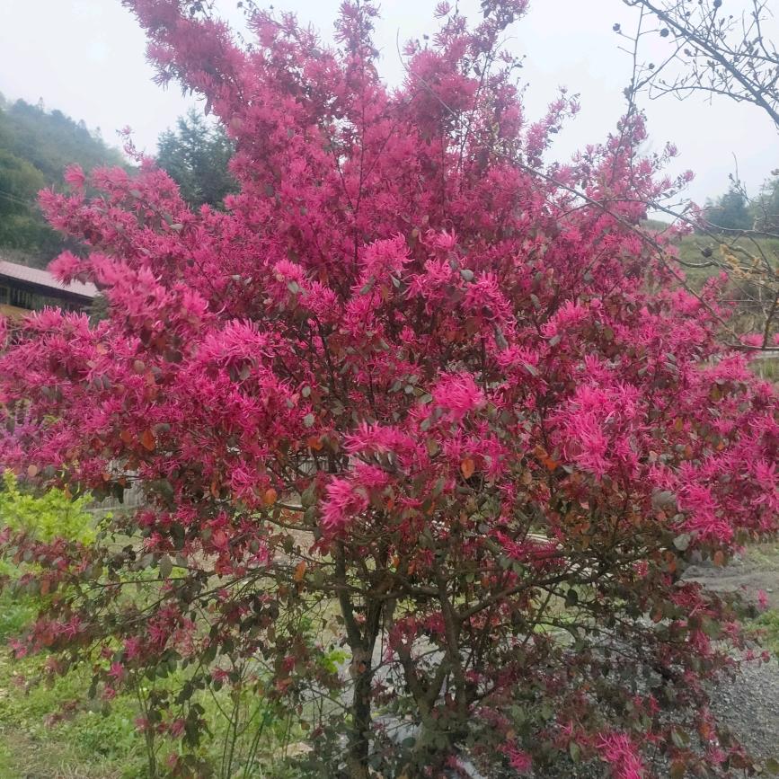 记在心里一辈子