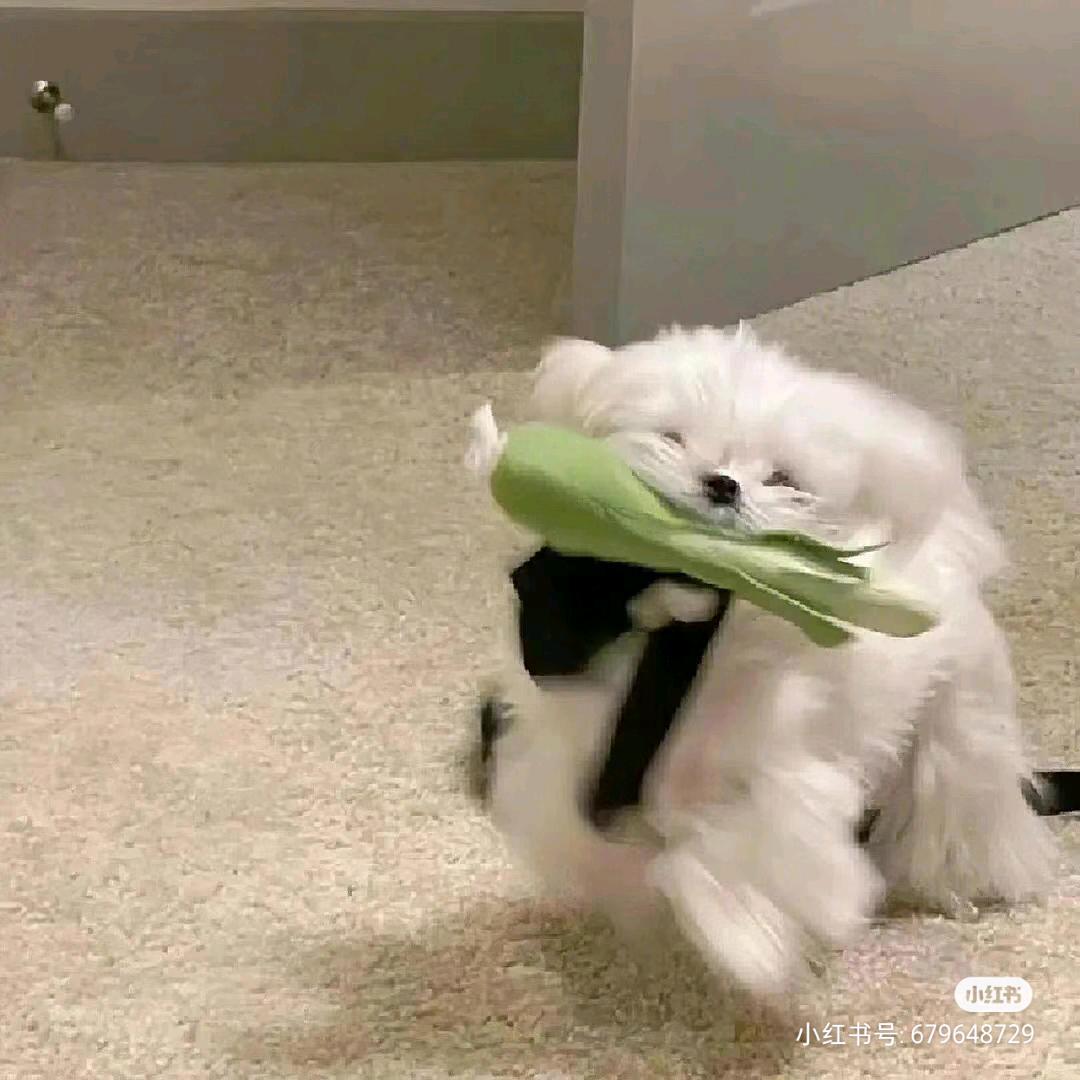ohh