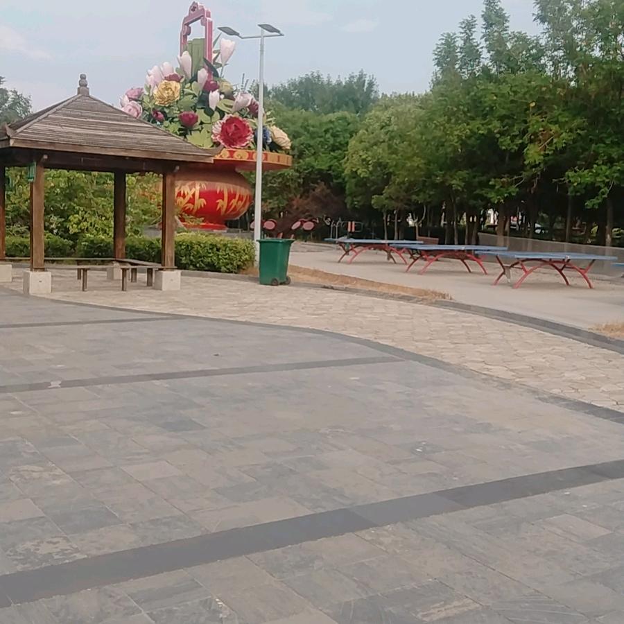 闪闪发光
