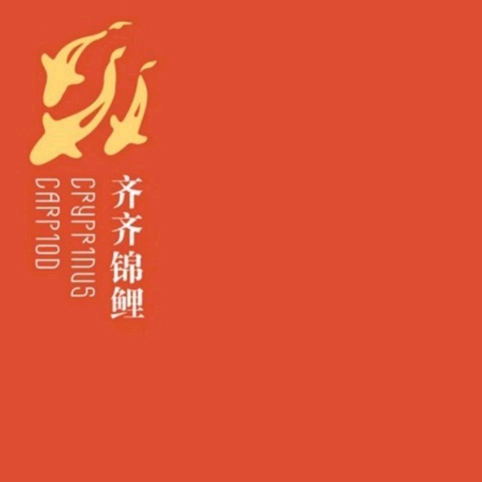 齐齐锦鲤