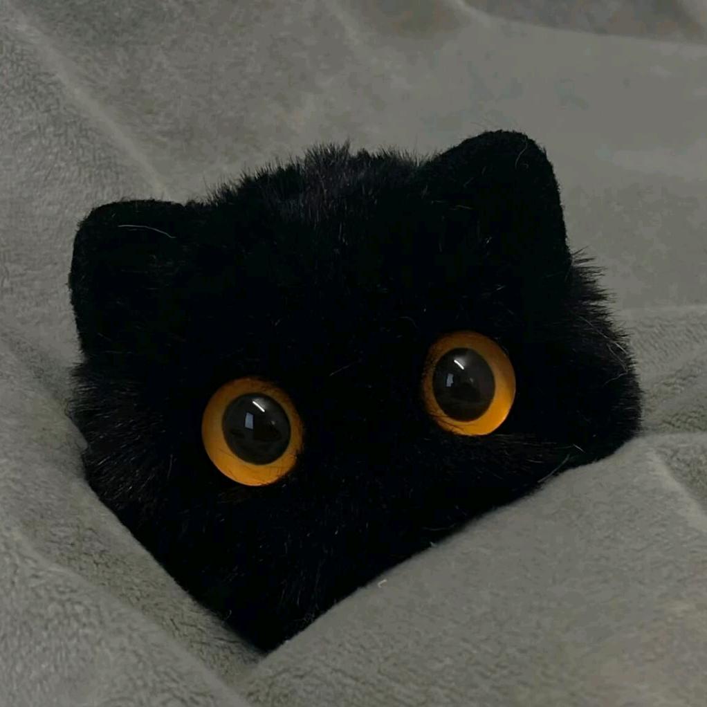 纤手阿龙(≧ω≦)