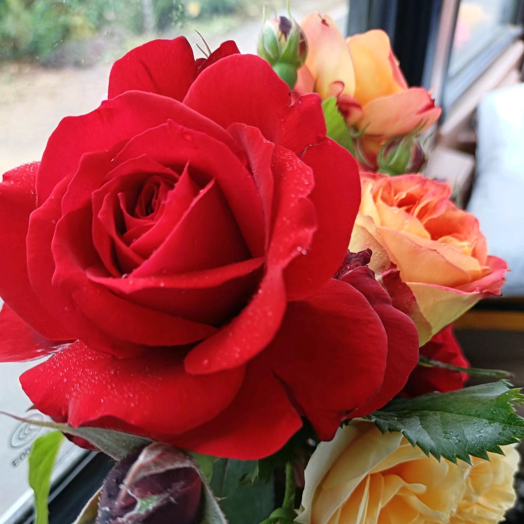 🌸🌺sm🌺💐🌹