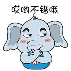 象眼观察