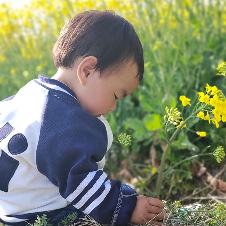 大🌿好の前🍓程ꦿ້໌ᮨ࿐