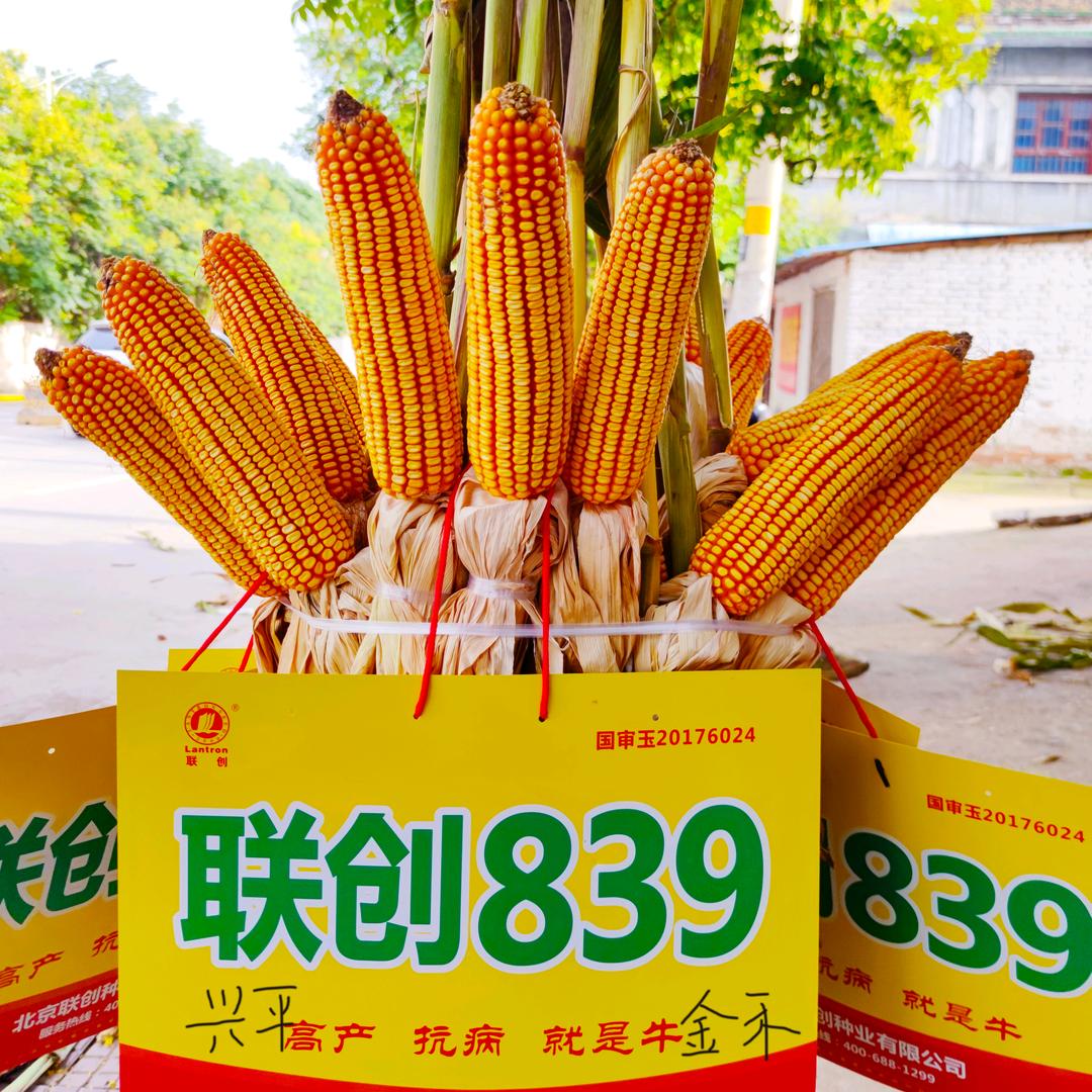 陕西金禾富吉农业（餐厅）