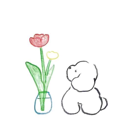 Lisa鹿