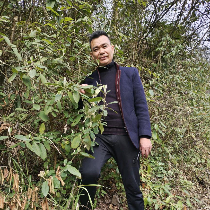 大胜植物说
