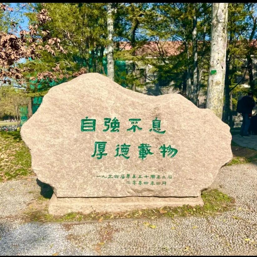 王老师清北养成记