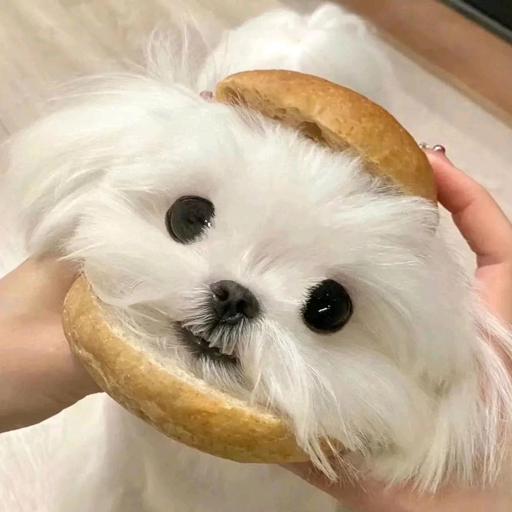爱吃麻辣烫