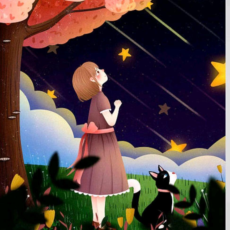 💫仰望💖星空🌟