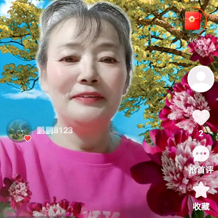 萍萍