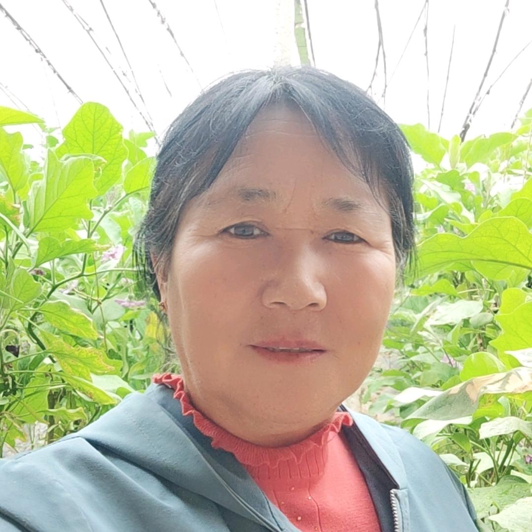集萍