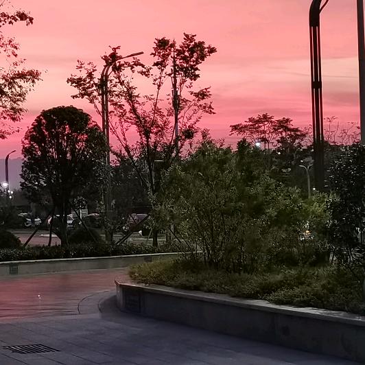 莪很无语