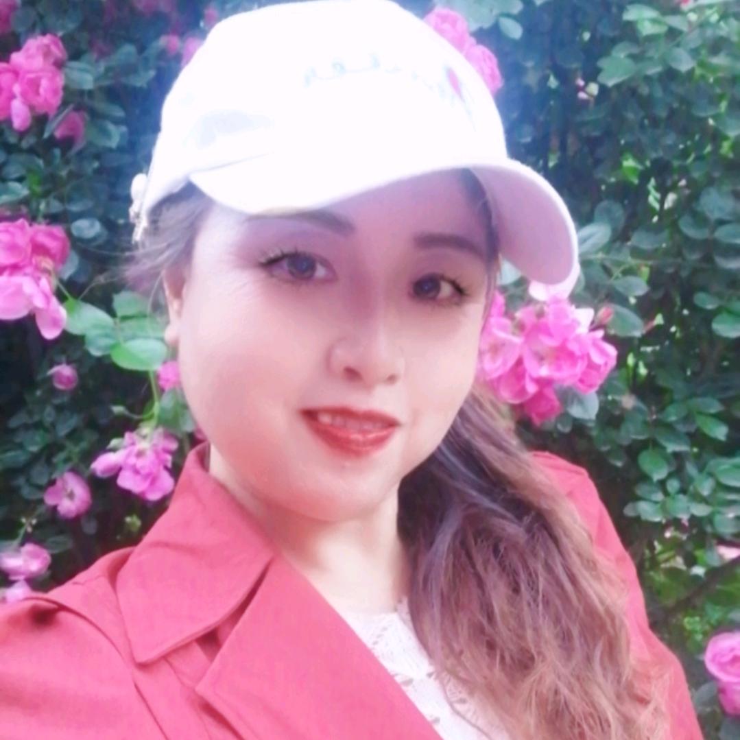 美人鱼一歌