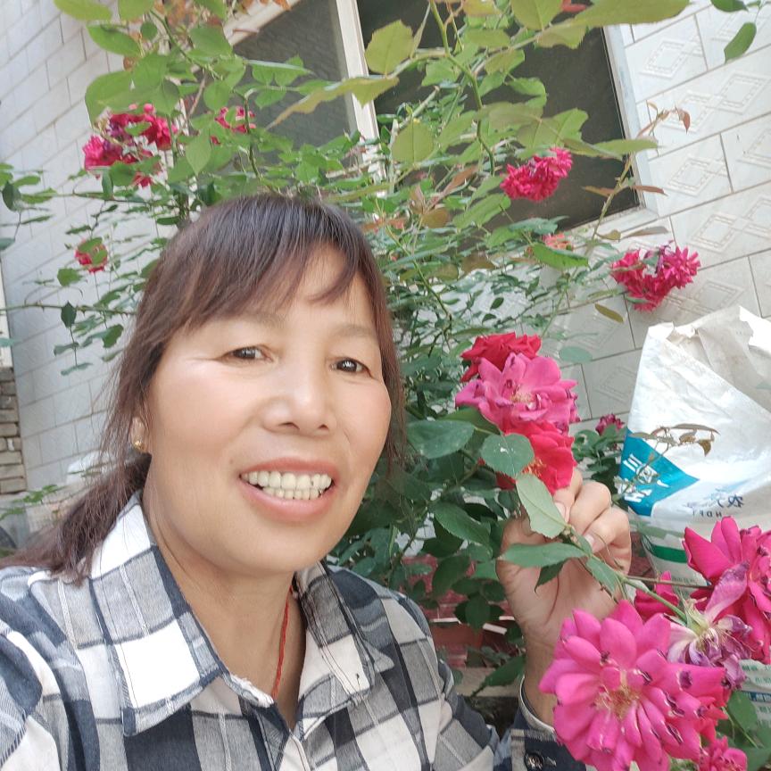 随心所欲（老陈果业）