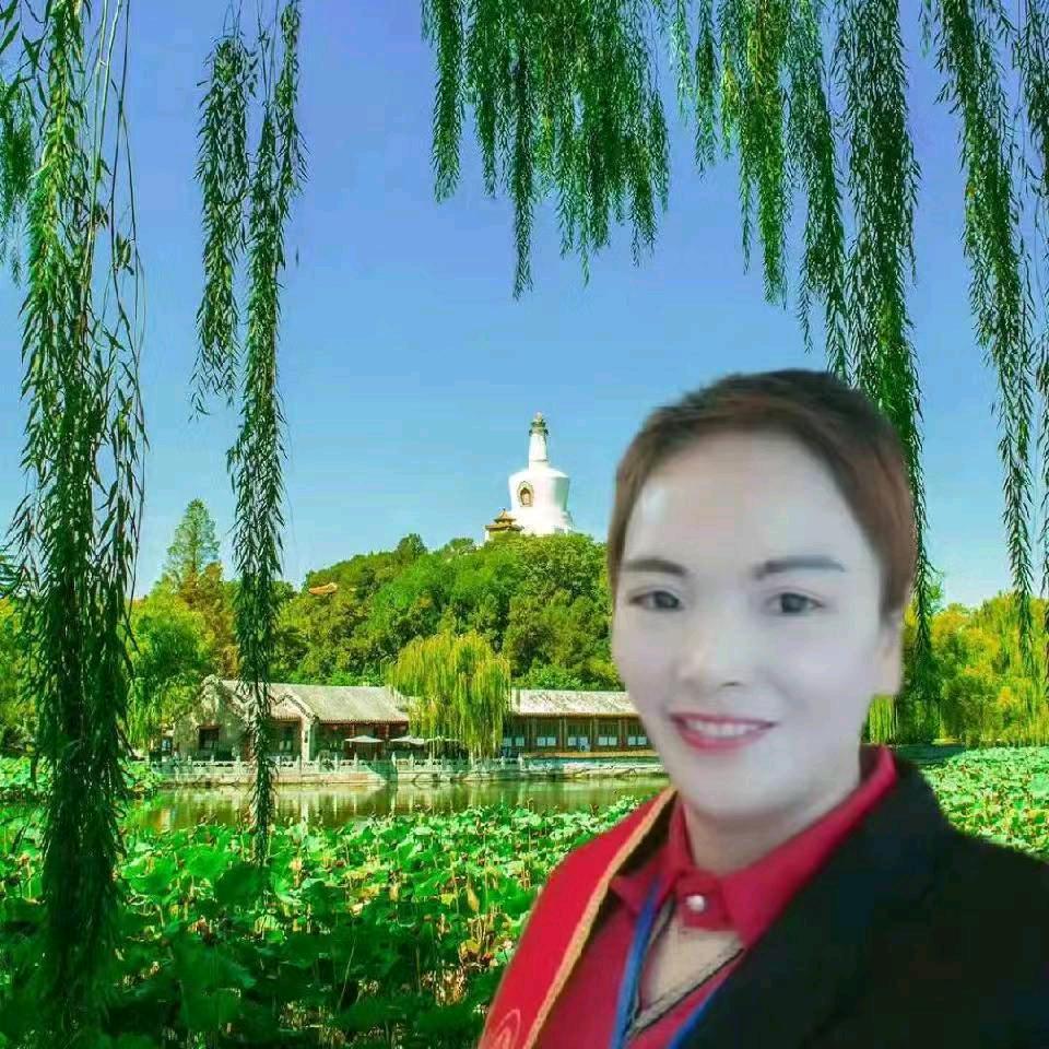 银琴姐  单身姐