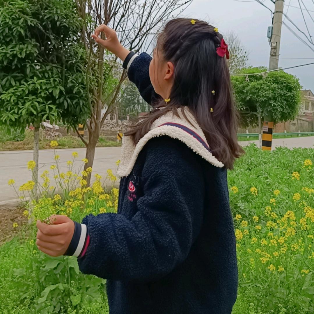 英子【艾艾贴🌱】