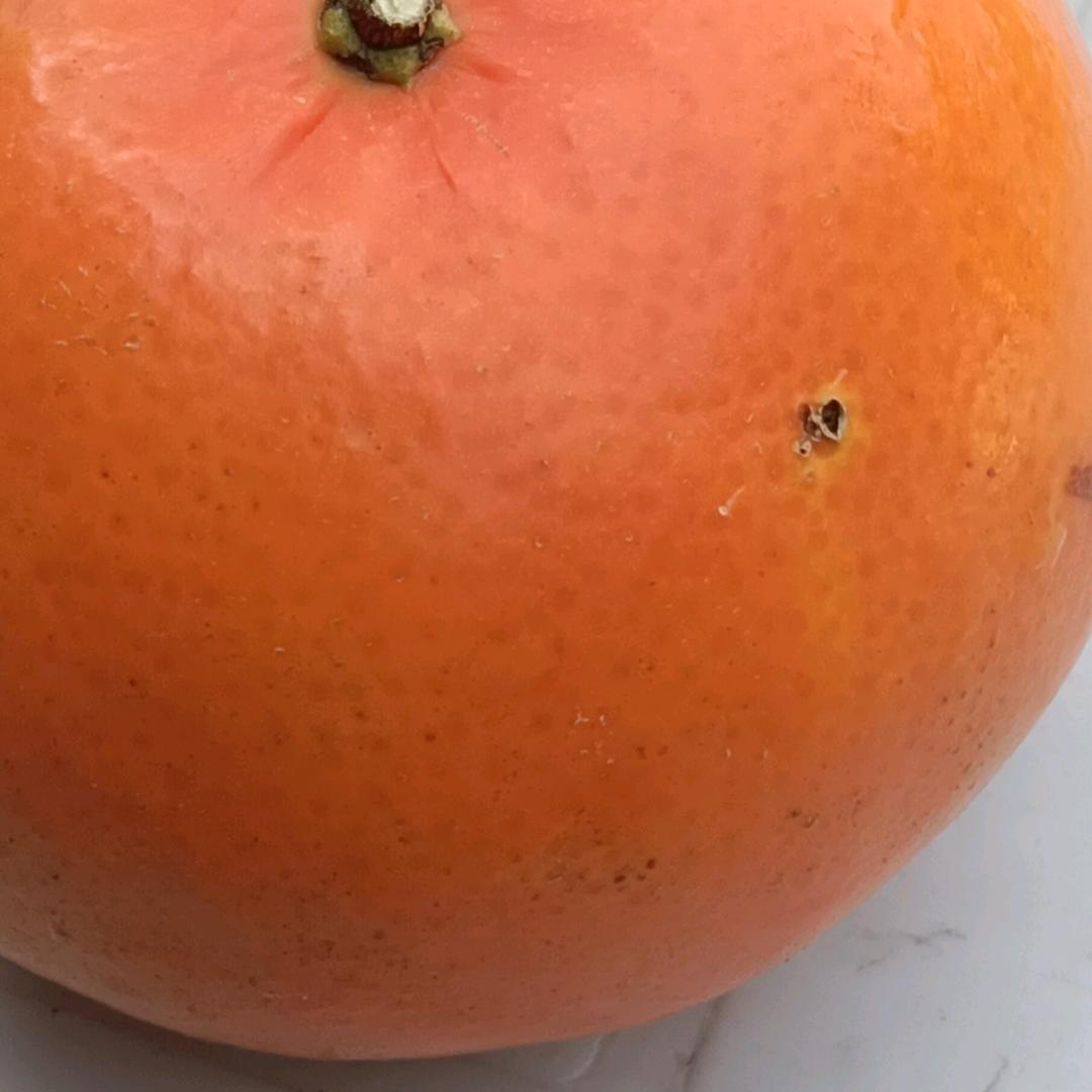 心相应