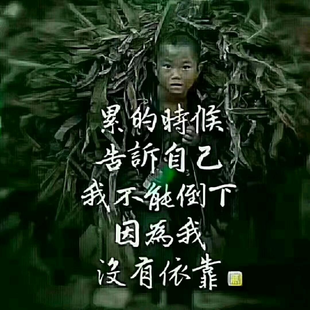 梦想天涯