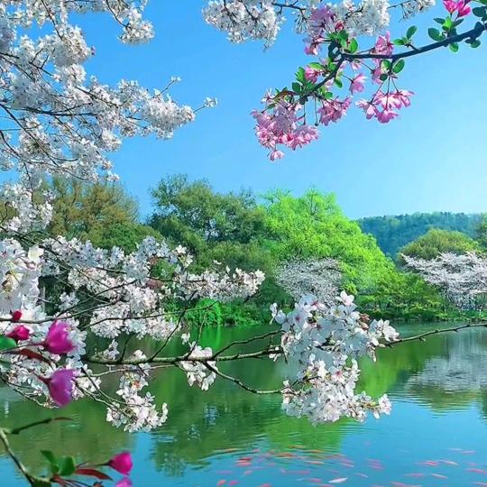 未来我来