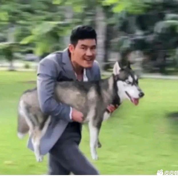 风吹屁屁梁先生O(∩_∩)O