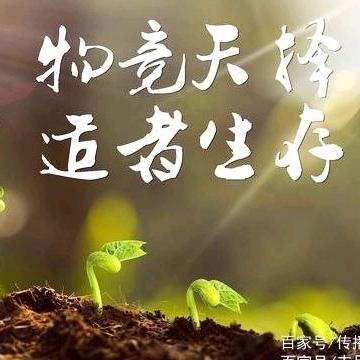 适者生存