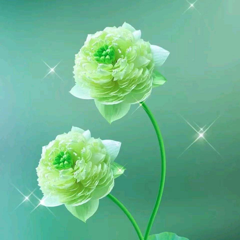 小纯情