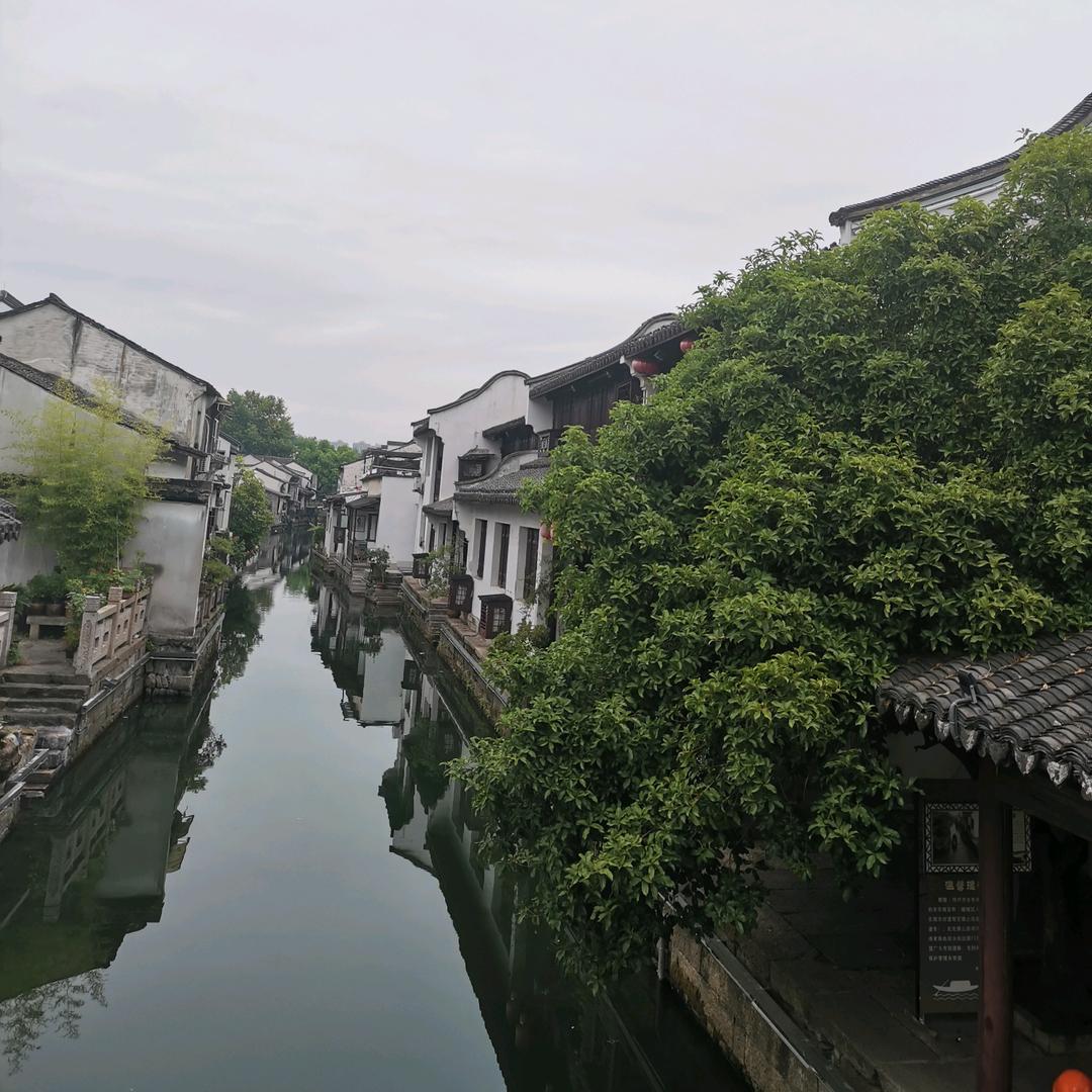 搞笑短视频，（收徒弟）