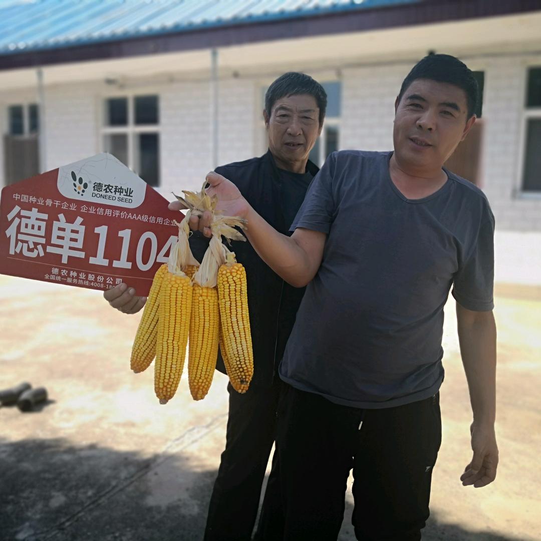 立军农资家电晚上七点半不定时直播