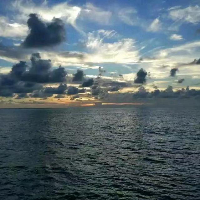 夏鑫