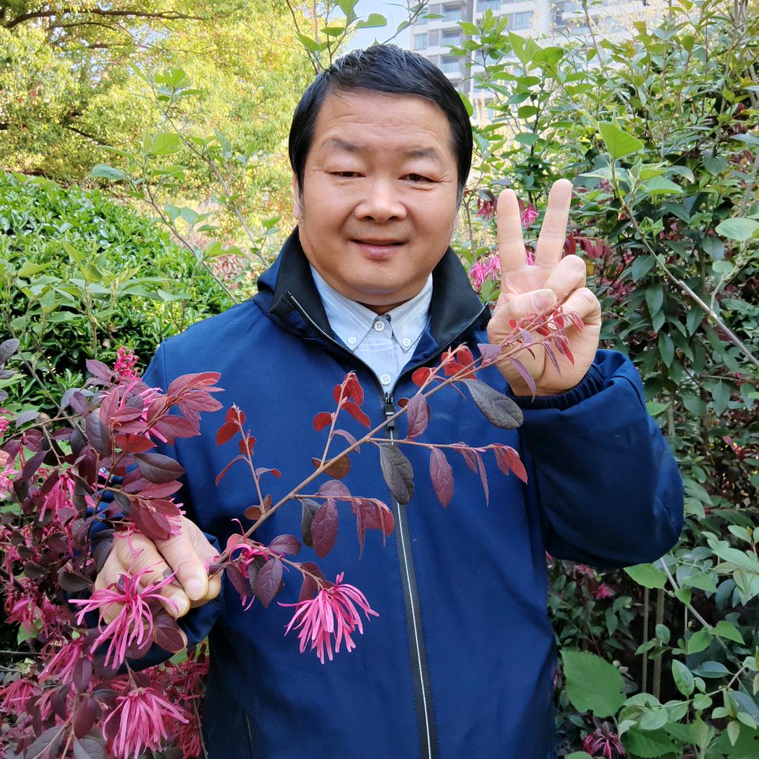 向前短视频