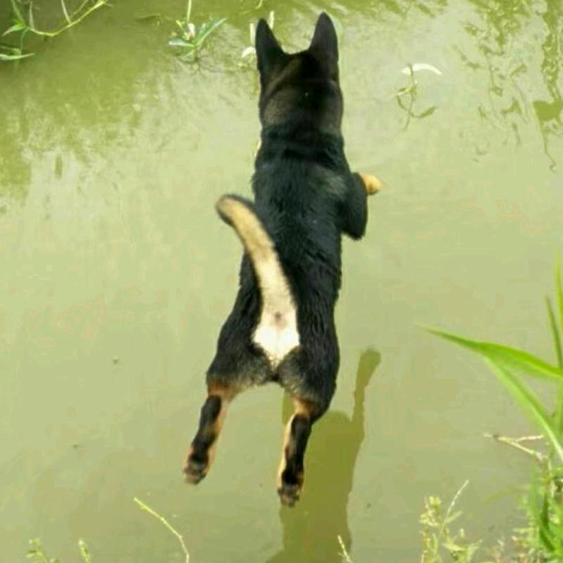 ꧁꫞六💞月绽放的梅花꫞꧂