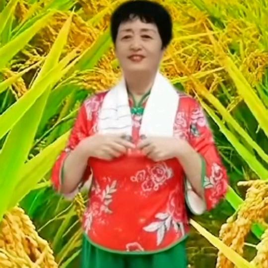 一片冰心