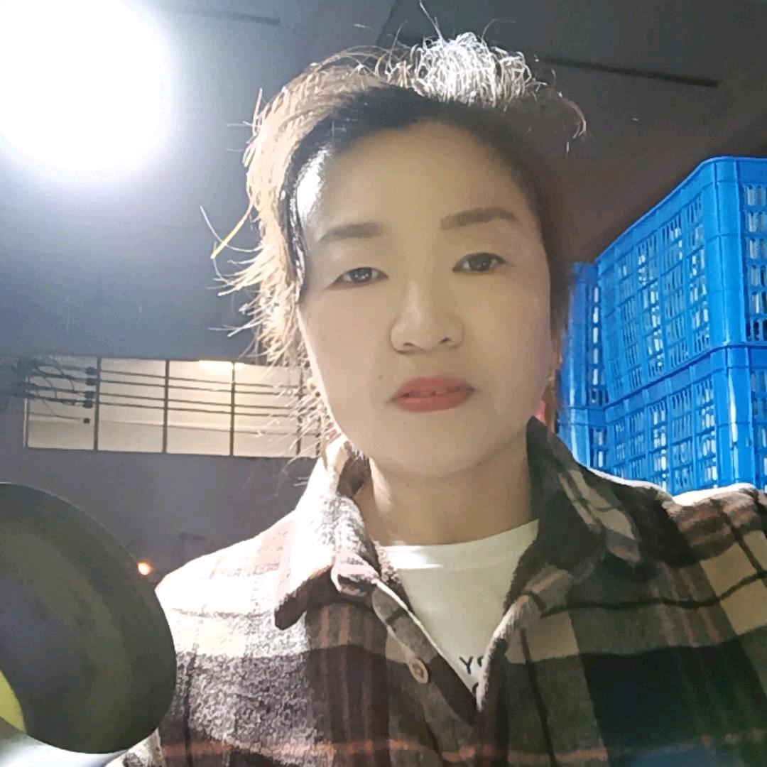 千年老毛