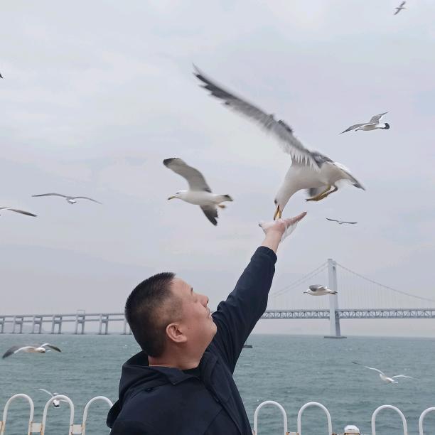 大米哥快递咨询