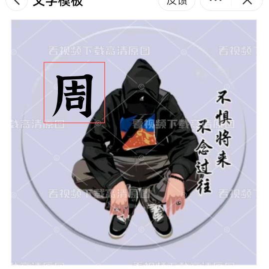 宝爷   ´´ิZ´ิ`