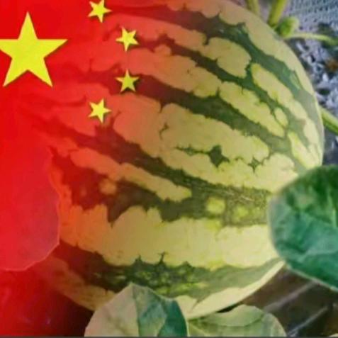 六安老刘