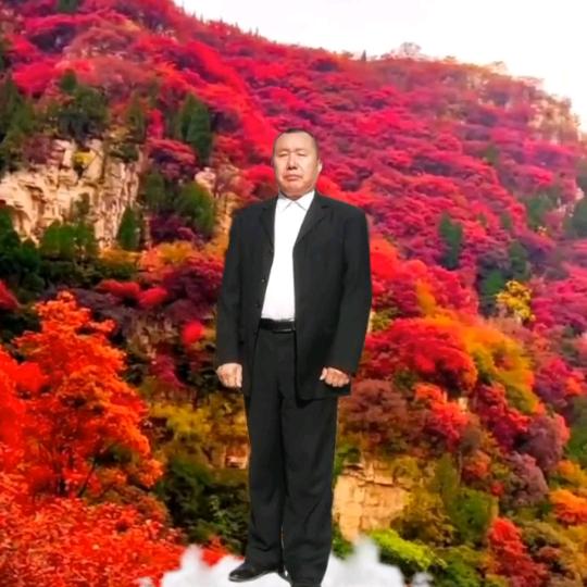 山红一片红_244217946