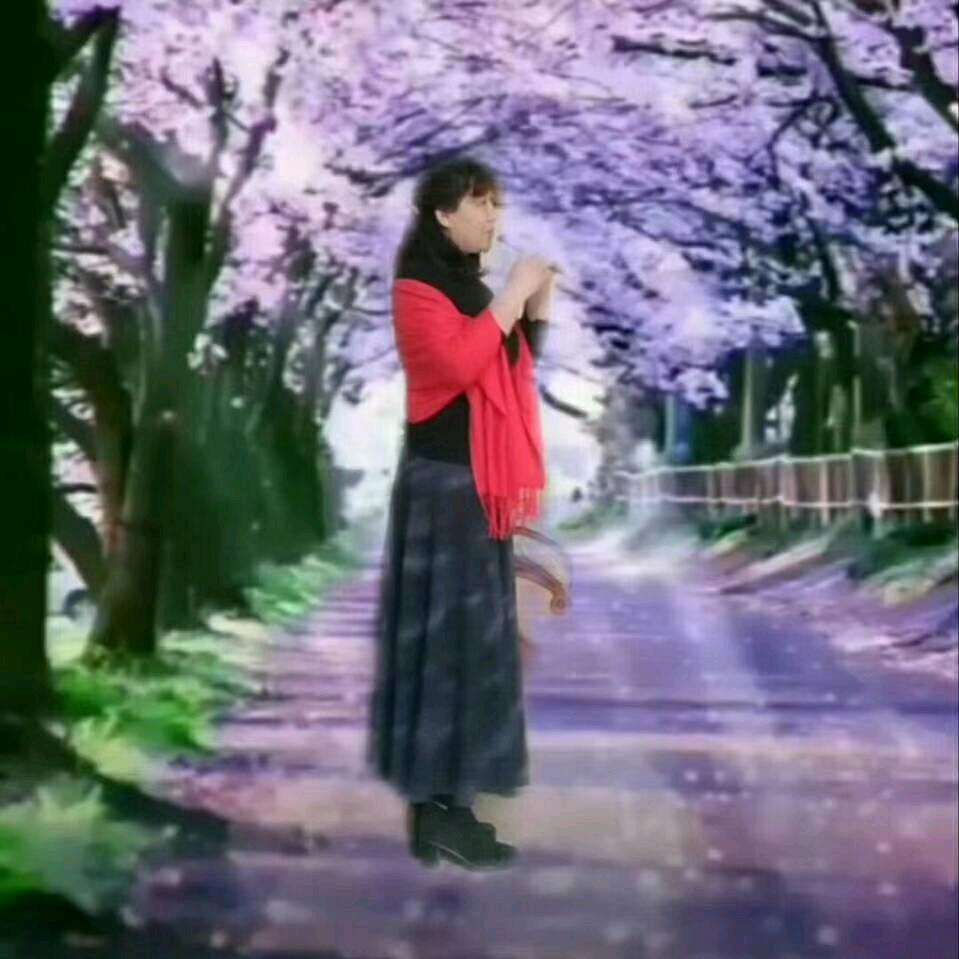 藕莲百合磁吸门帘批发