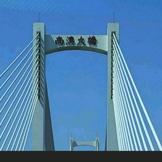 龙腾虎跃
