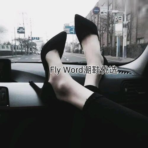 FlyWord