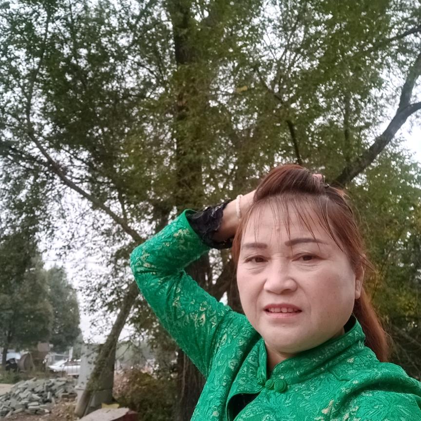房陵飞歌郑家菊